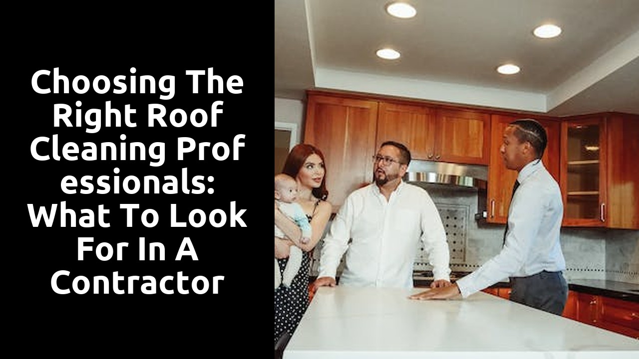 Choosing the Right Roof Cleaning Professionals: What to Look for in a Contractor